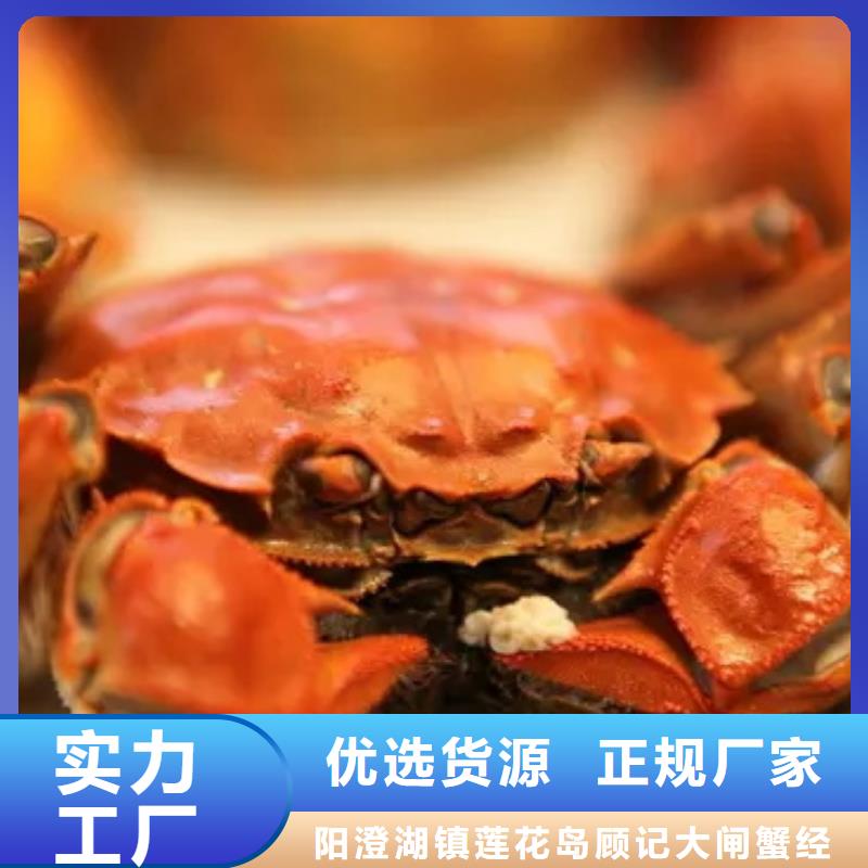 阳澄湖大闸蟹周期短价格优