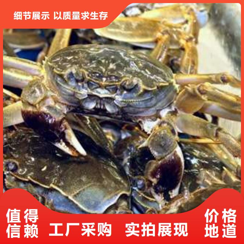 【图】阳澄湖大闸蟹价格