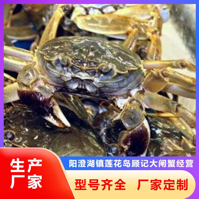 阳澄湖大闸蟹-送货上门