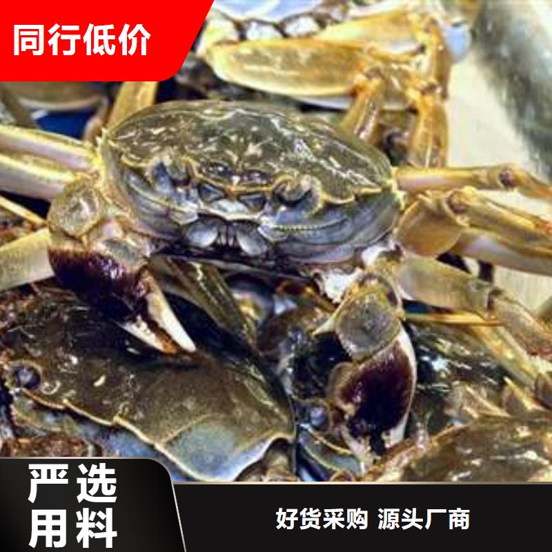 性价比高的阳澄湖大闸蟹供货商