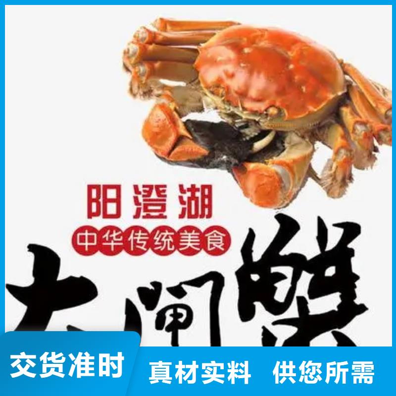 值得信赖的阳澄湖大闸蟹基地
