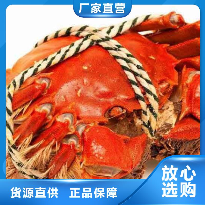 阳澄湖大闸蟹-制作精良