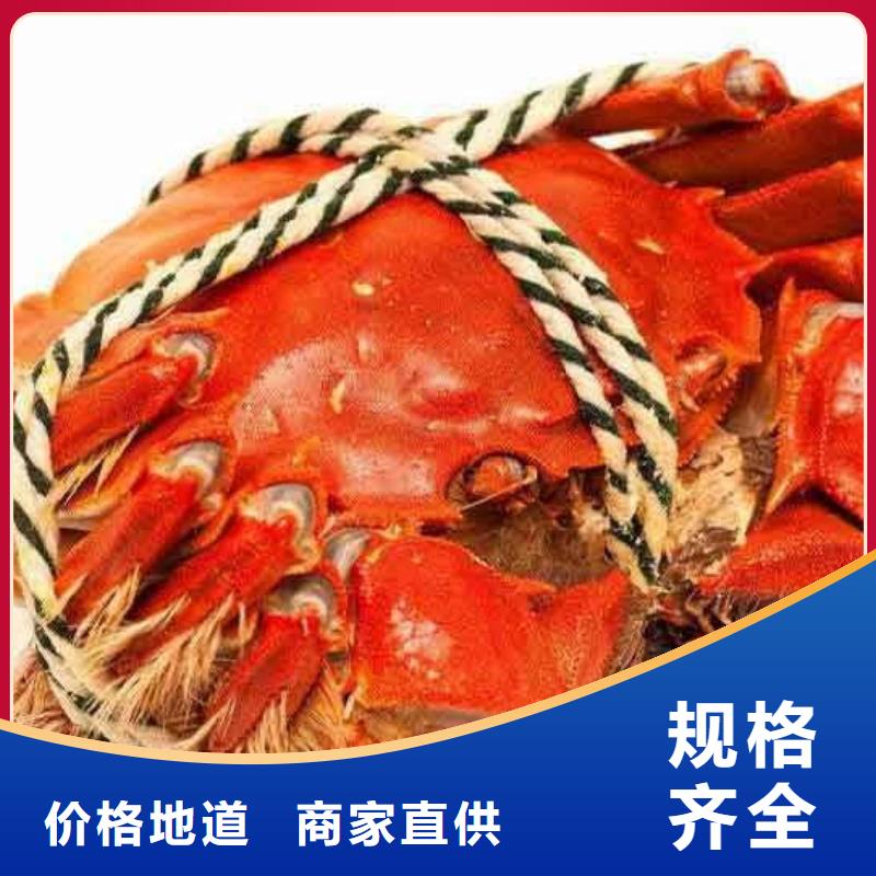 阳澄湖大闸蟹报价-厂家