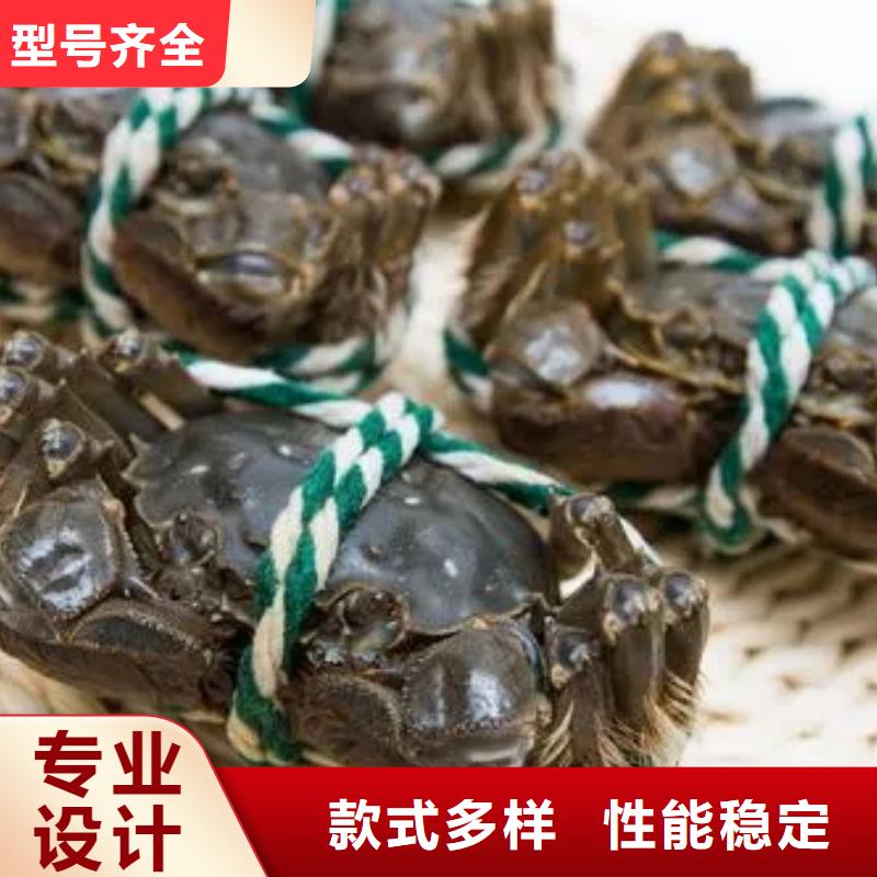 汕尾市大螃蟹一斤几只
