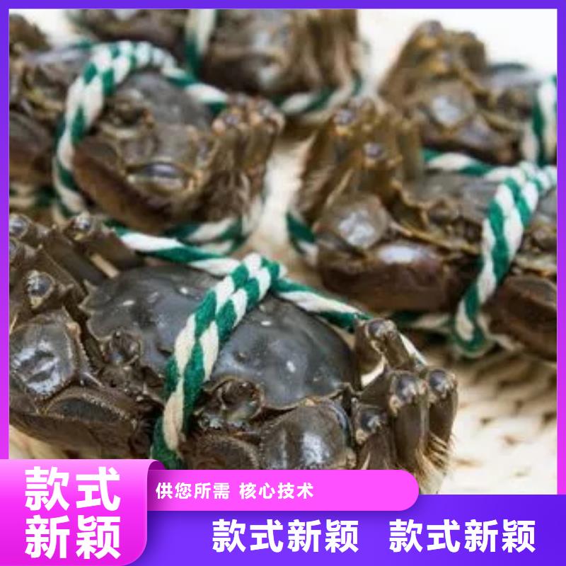 口碑好的阳澄湖大闸蟹厂家