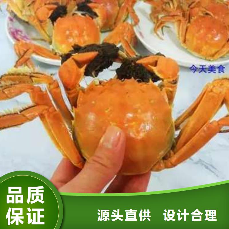 揭阳市鲜活螃蟹价格行情