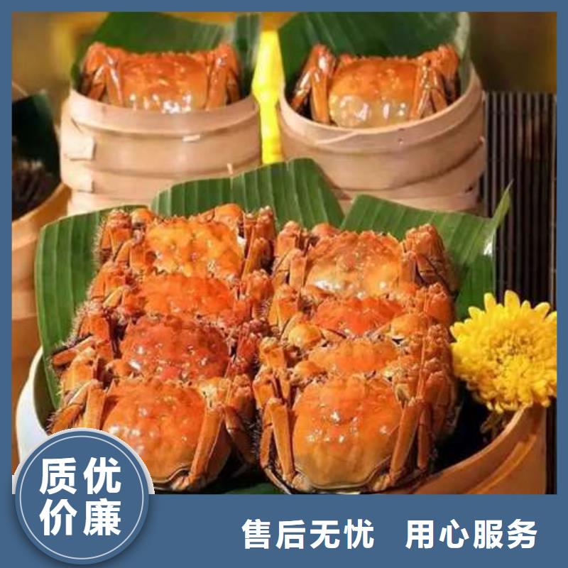 阳澄湖大闸蟹可在线咨询价格