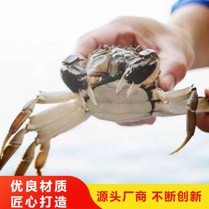 有现货的阳澄湖大闸蟹供应商