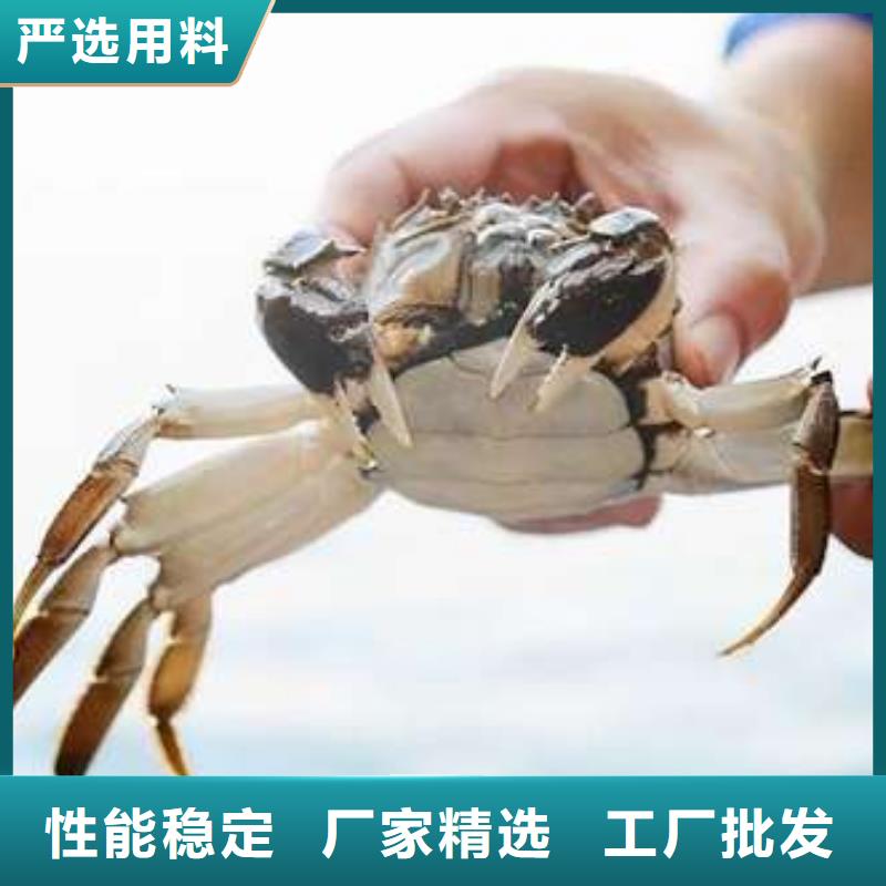 阳澄湖大闸蟹天天低价