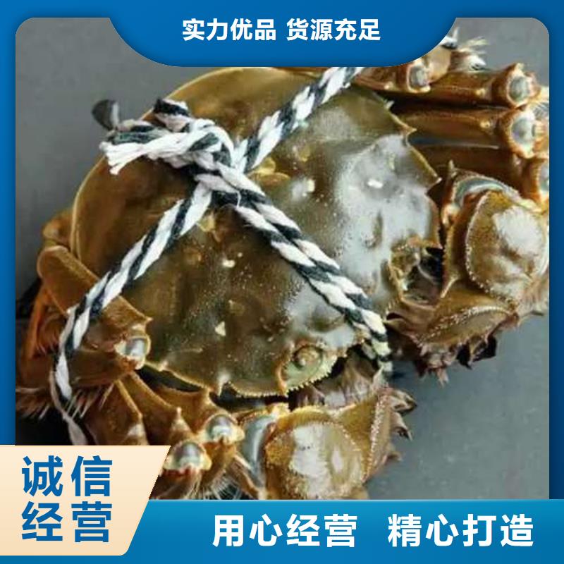 性价比高的阳澄湖大闸蟹供货商