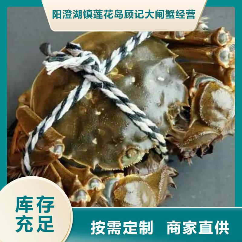 质优价廉的阳澄湖大闸蟹销售厂家