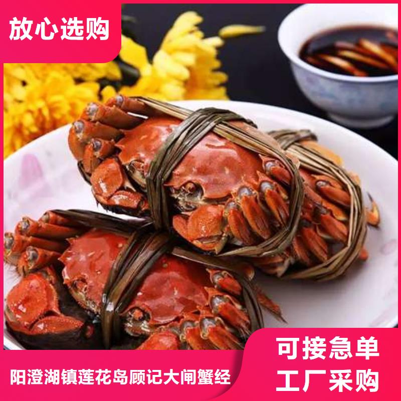 阳澄湖大闸蟹周期短价格优