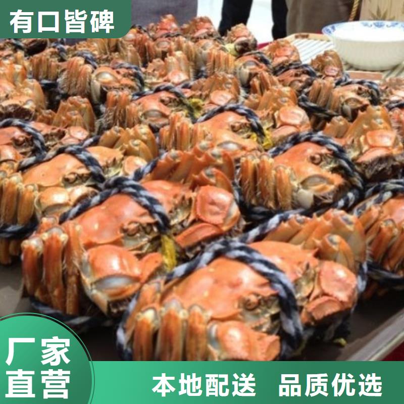 阳澄湖大闸蟹大品牌品质优