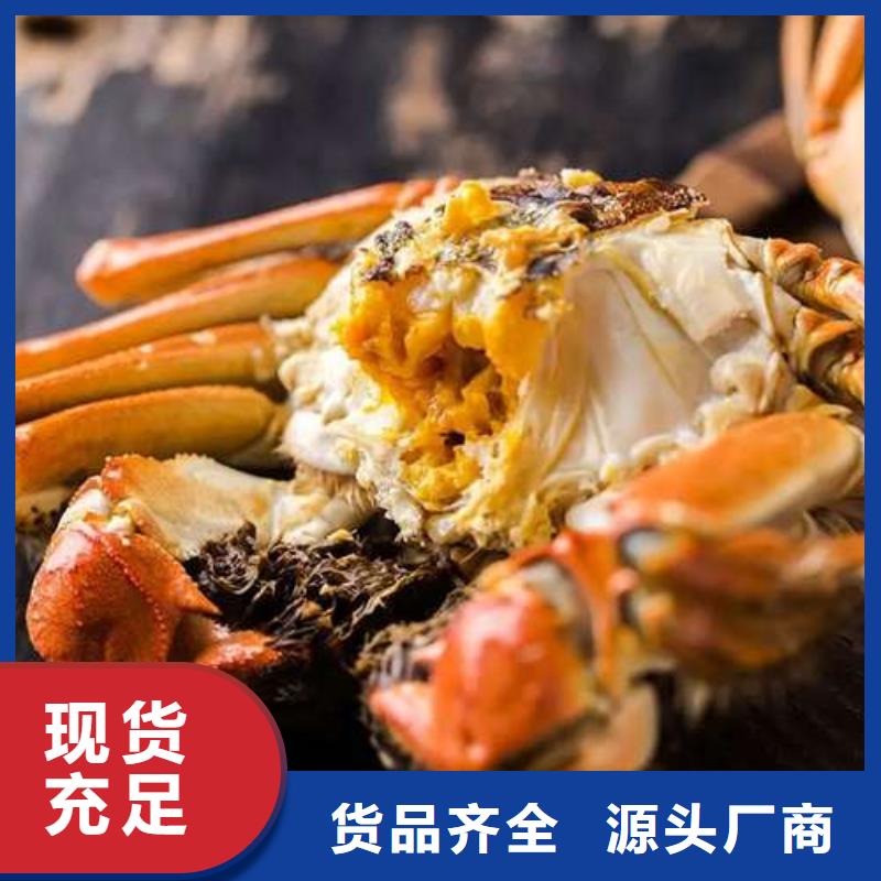 阳澄湖大闸蟹-您的优选