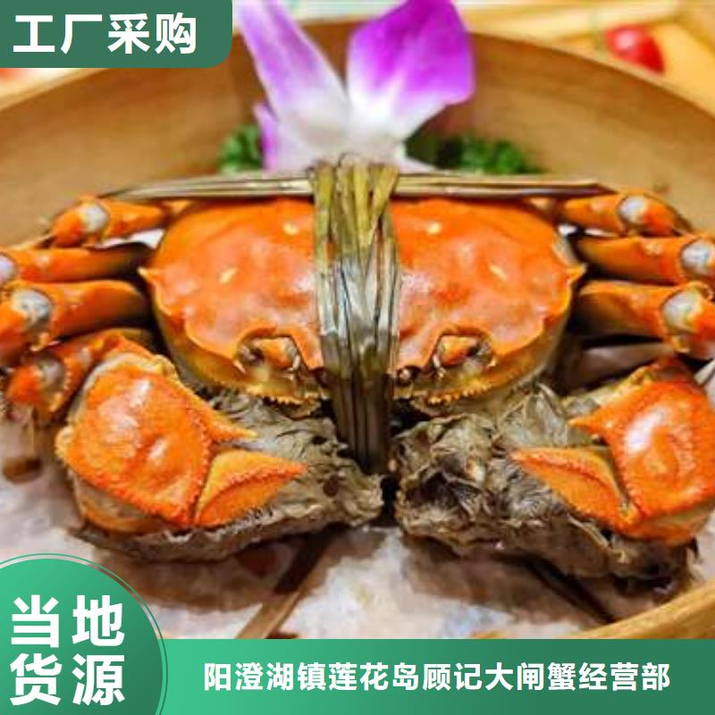 阳澄湖大闸蟹大品牌品质优