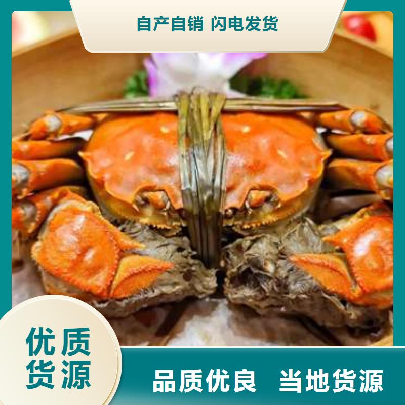 阳澄湖大闸蟹质量稳定