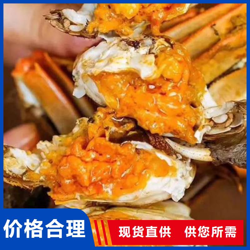 阳澄湖大闸蟹报价-厂家