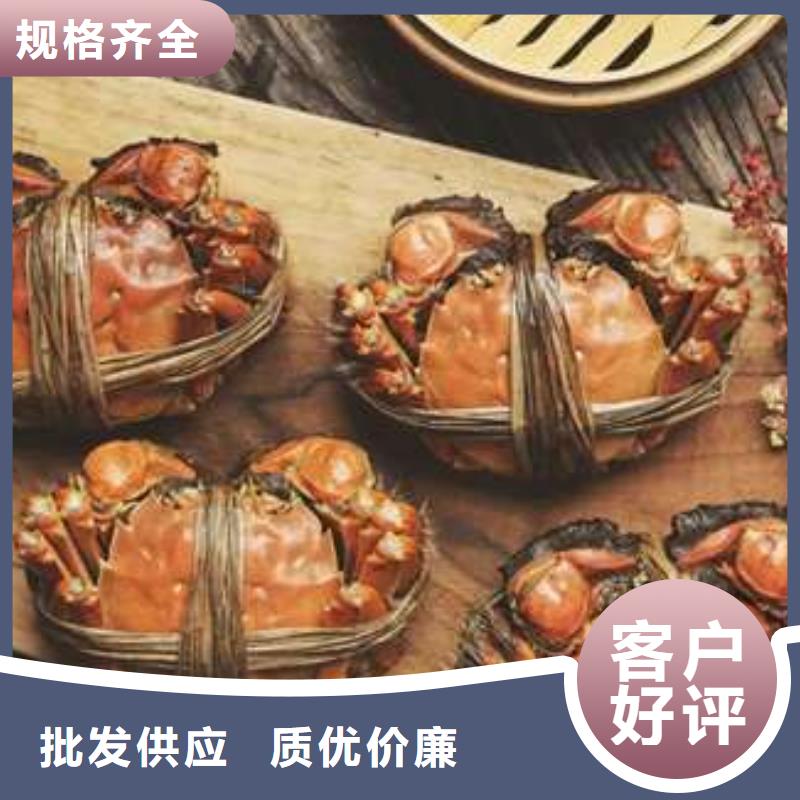 阳澄湖大闸蟹材质好