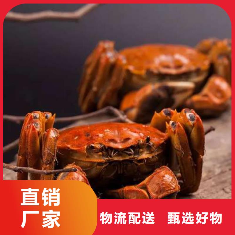 定制阳澄湖大闸蟹的厂家