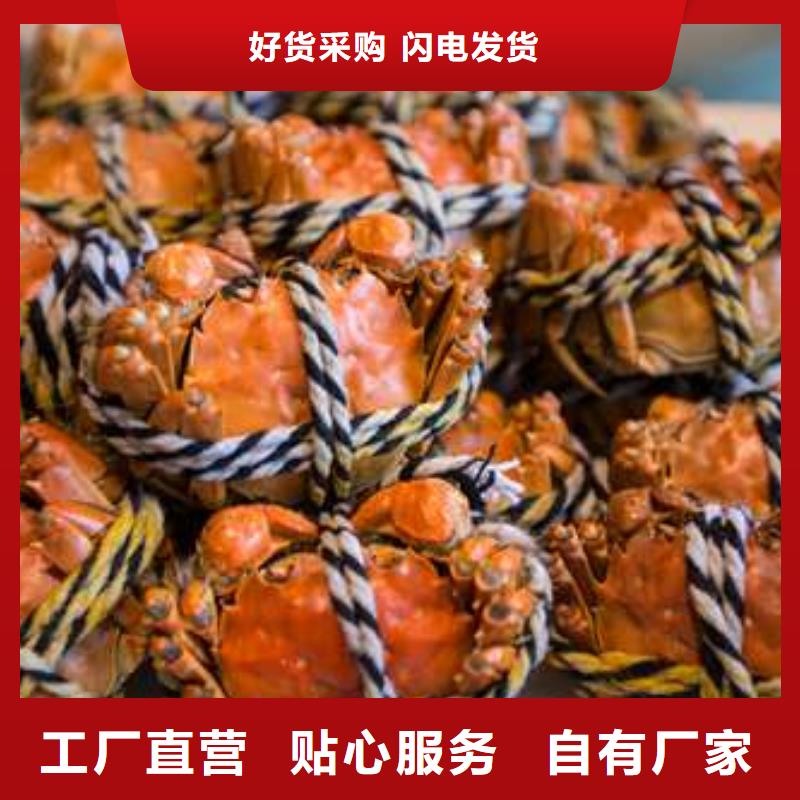 质优价廉的阳澄湖大闸蟹销售厂家