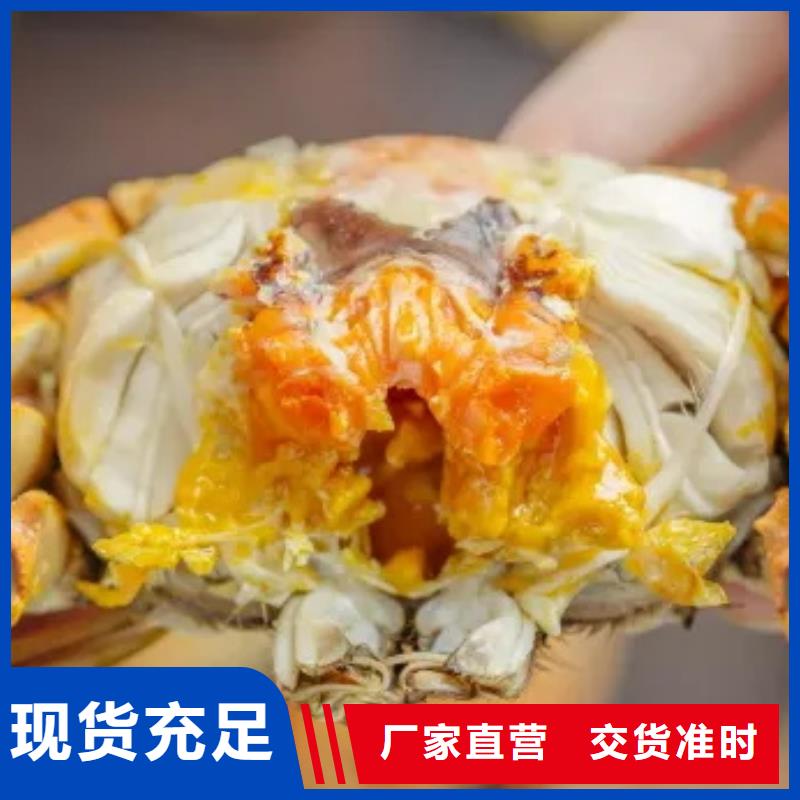 阳澄湖大闸蟹好的选择