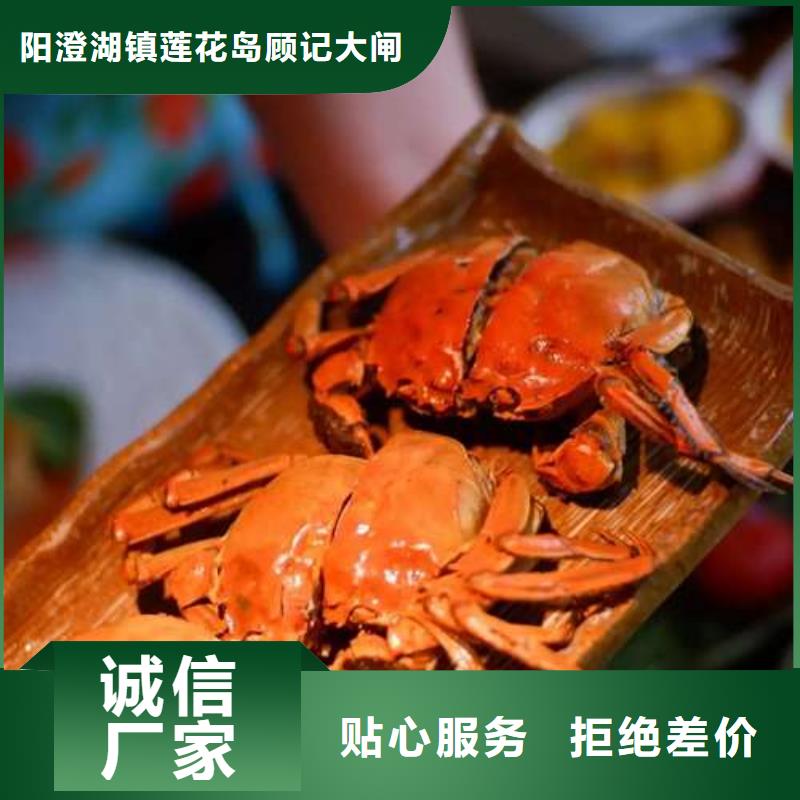 阳澄湖大闸蟹可在线咨询价格
