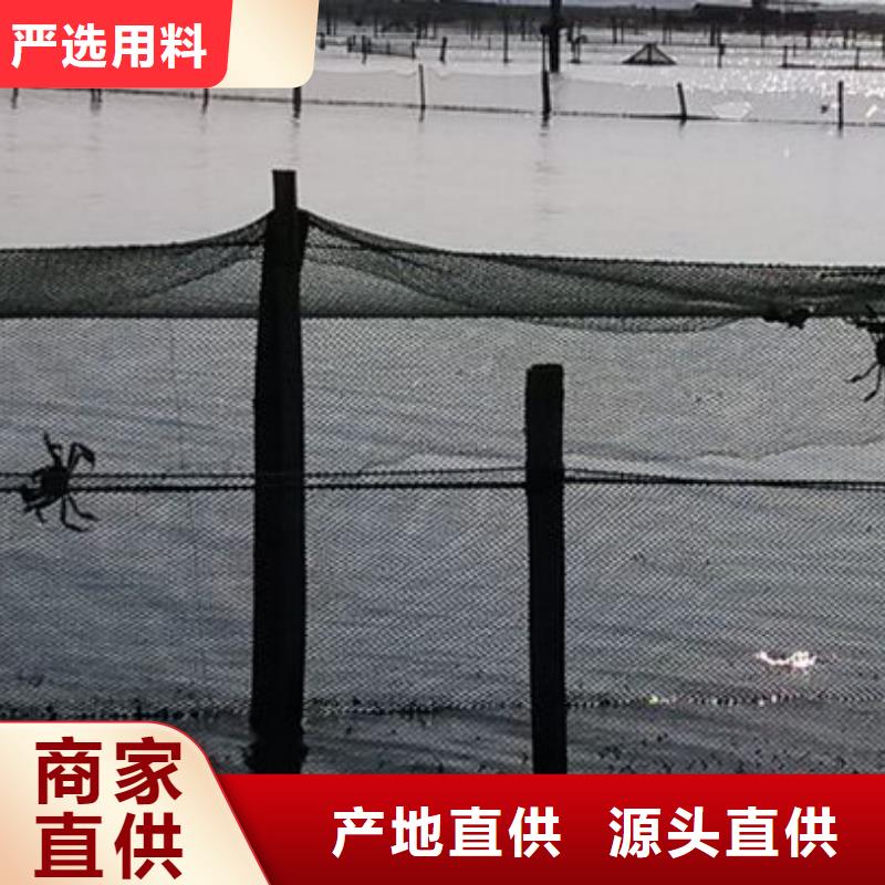 阳澄湖大闸蟹重信誉厂家