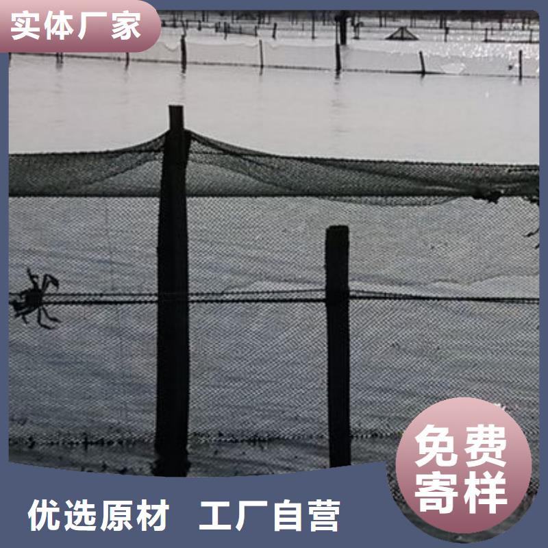阳澄湖大闸蟹周期短价格优