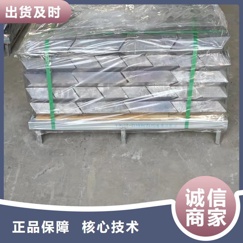 #辐射防护铅砖#专业生产
