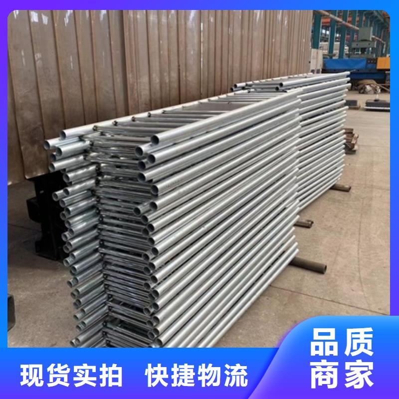 买喷塑钢管护栏认准鼎森金属材料有限公司