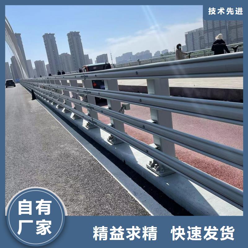 城镇桥梁护栏实力厂家