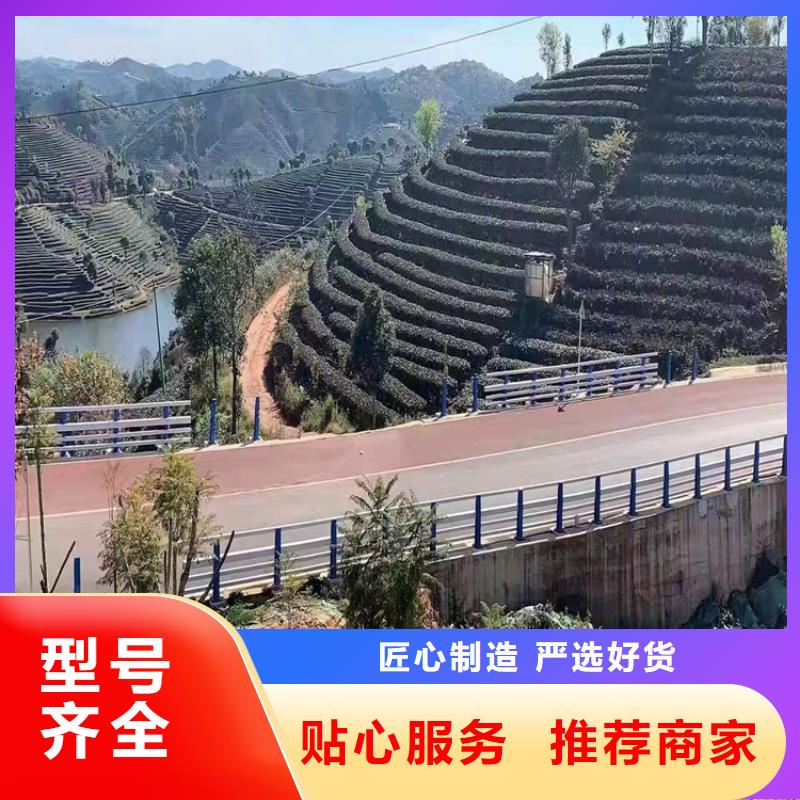 价格合理的防撞钢管栏杆厂家