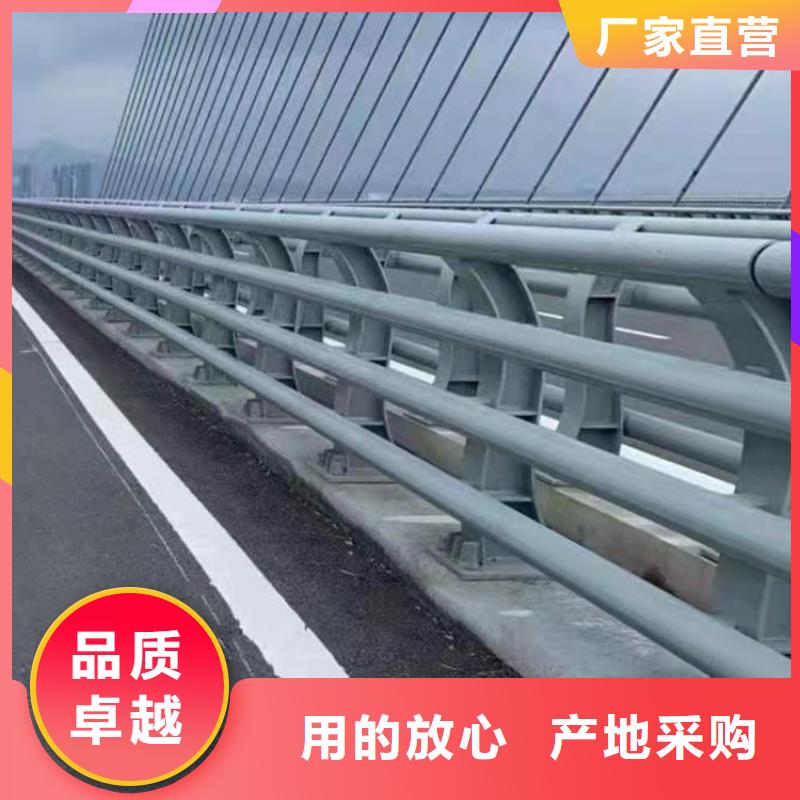 常年供应桥梁钢防护栏-优质