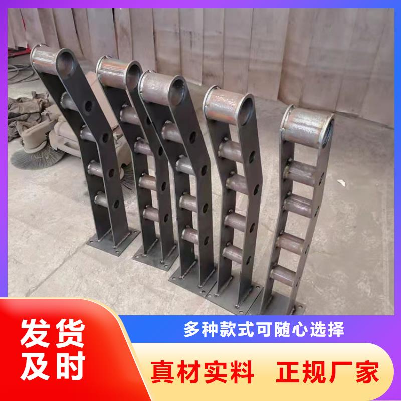 公园防撞护栏专业的技术和服务值得信赖--欢迎咨询
