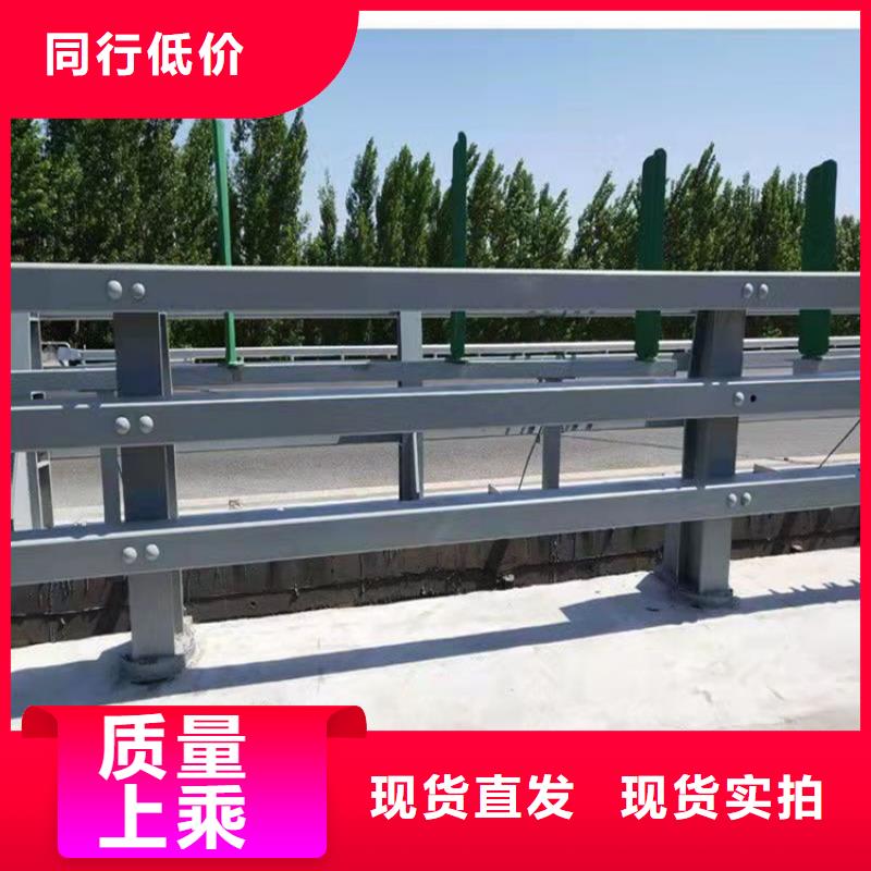 河道灯光护栏厂家联系电话