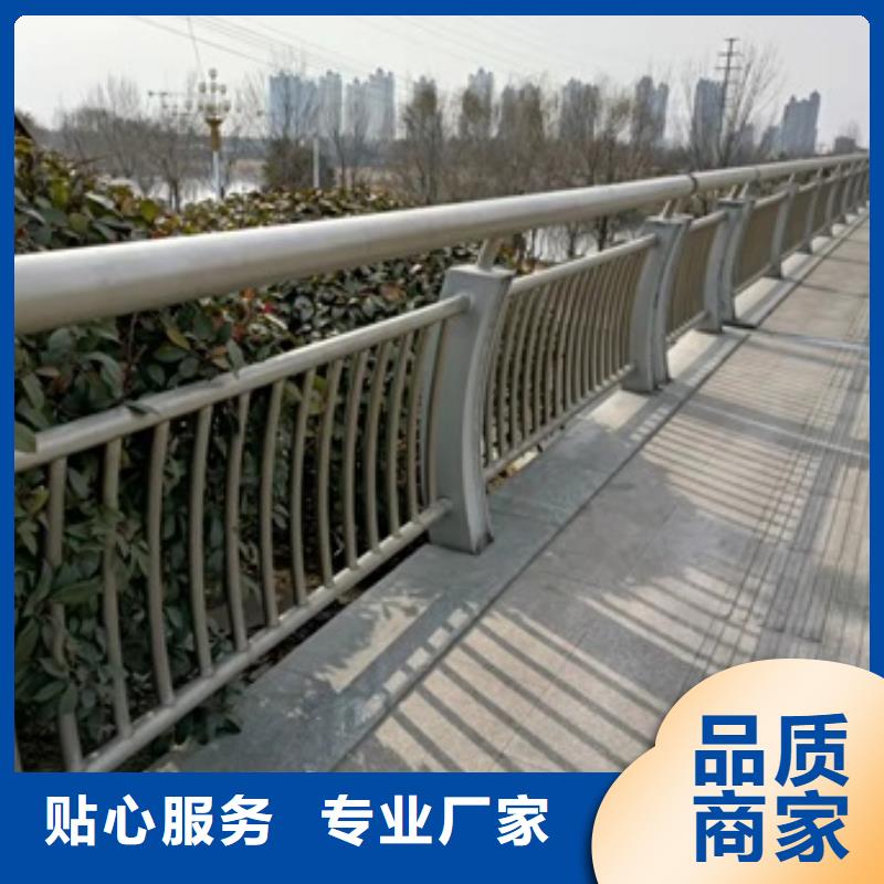 公园防撞护栏专注质量