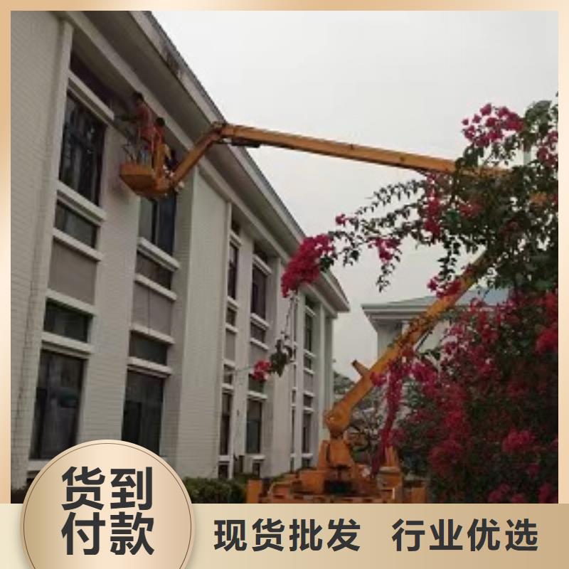高空车出租升降机出租多年行业经验