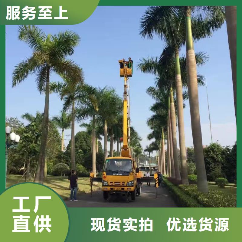遂溪桥检车出租实力雄厚