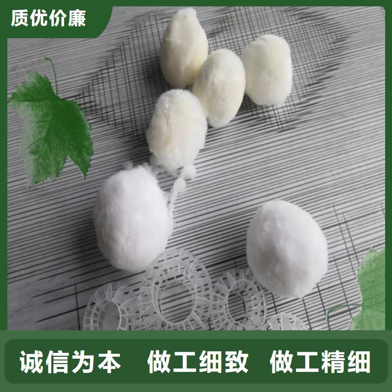 改性纤维球10年经验货号2-101