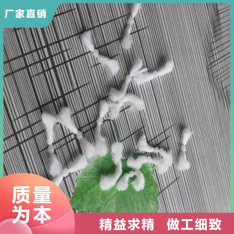 水处理填料柱状活性炭诚信为本