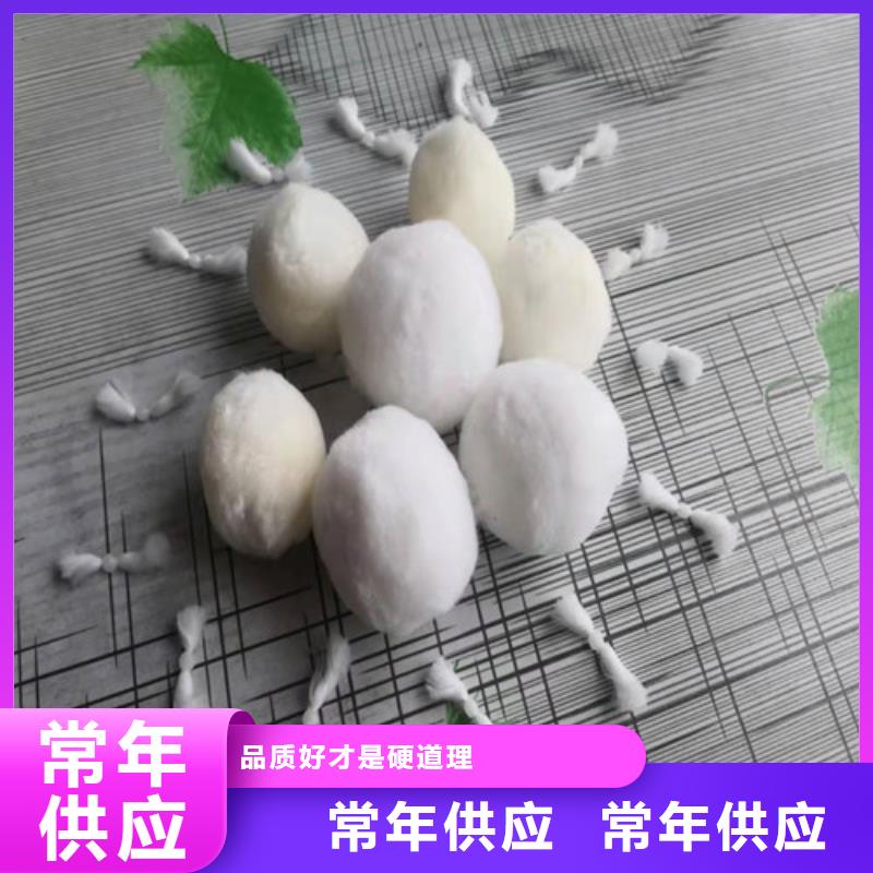 改性纤维球厂家报价货号2-101