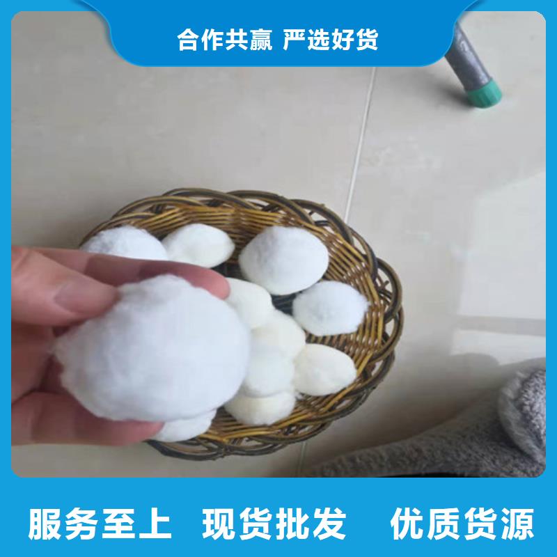 水处理填料柱状活性炭诚信为本