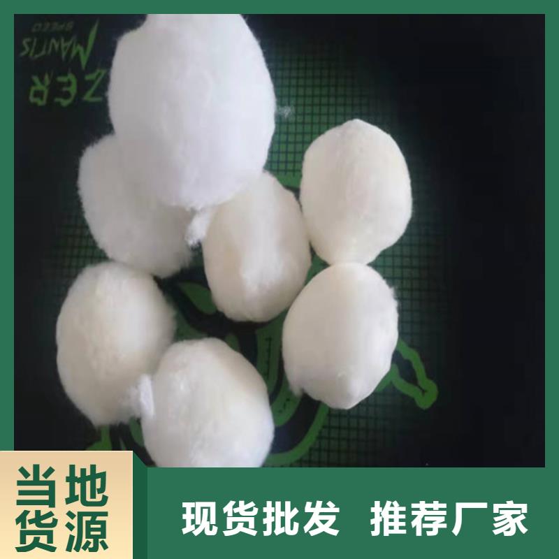 水处理填料,【活性炭】实力派厂家
