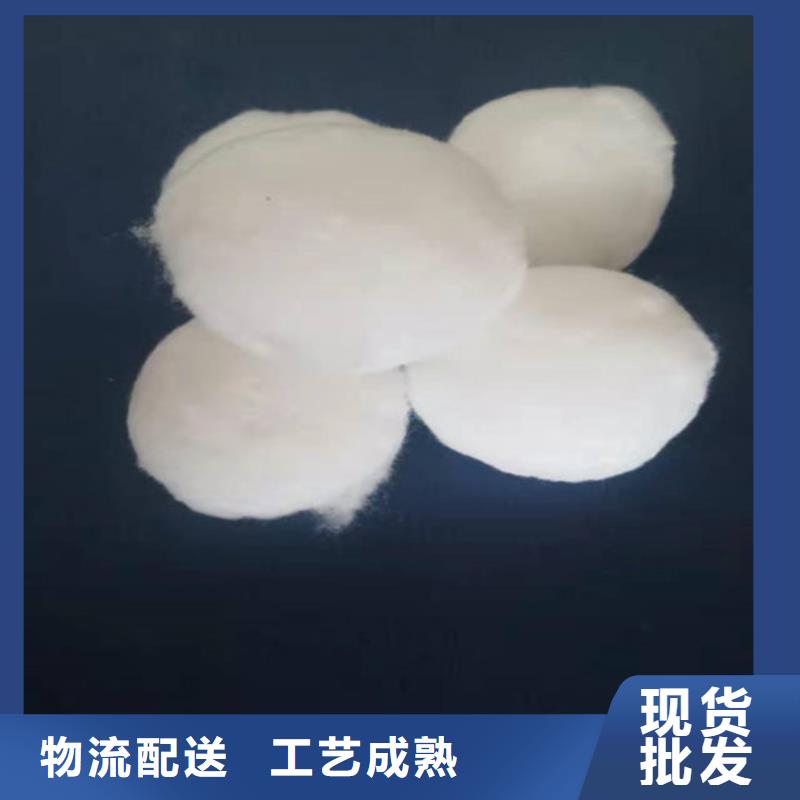 纤维球滤料规格齐全货号2-101