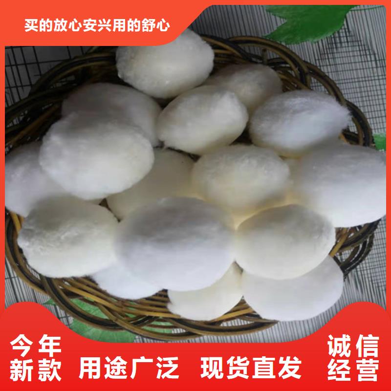 改性纤维球10年经验货号2-101