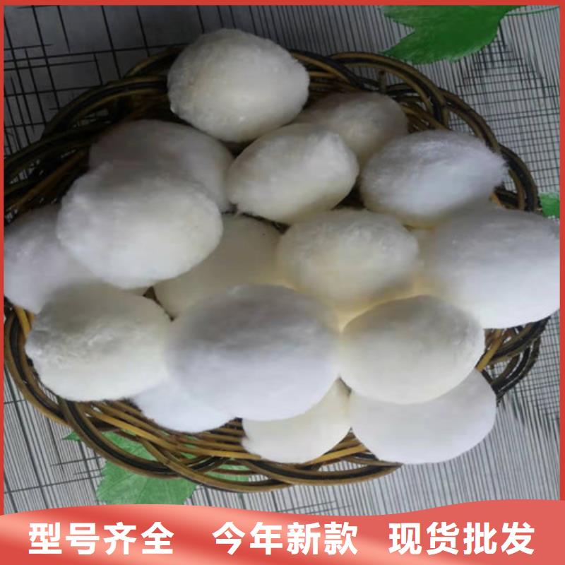 水处理填料【聚丙烯酰胺】货源稳定