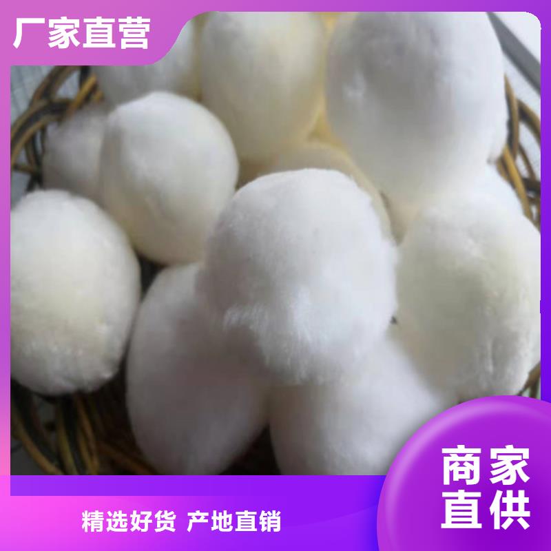 水处理填料柱状活性炭诚信为本