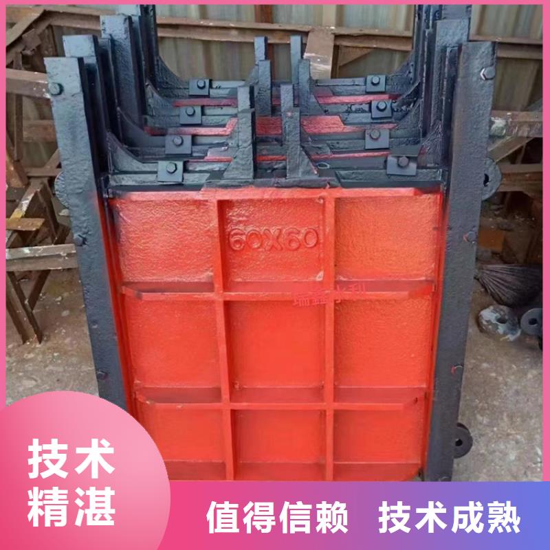 墙式镶铜铸铁圆闸门[生产厂家价格]