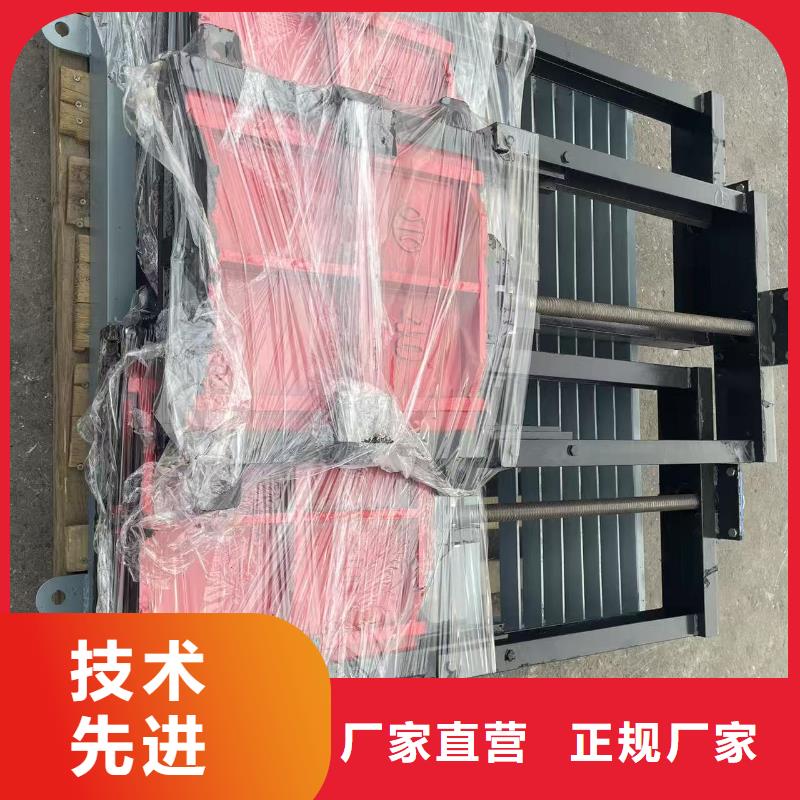 铸铁镶铜闸门启闭机