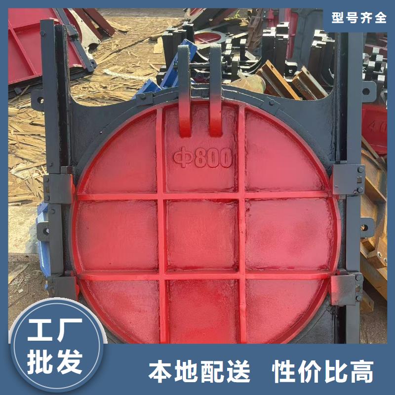 启闭机闸门-实体厂家